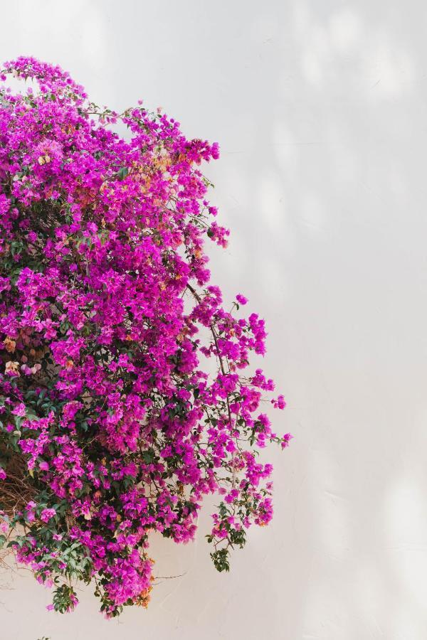 Hotel Ritual De Terra & Spa Javea Exterior photo